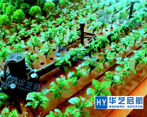 农业沙盘 农业沙盘设计方案