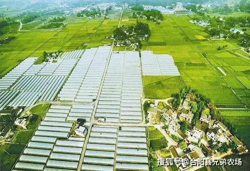 打造农业发展新动能 2020江西省农业发展大会侧记