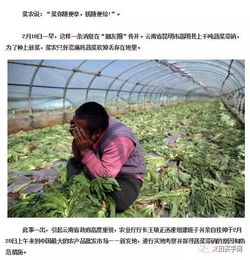 农产品滞销,农业发展路在何方