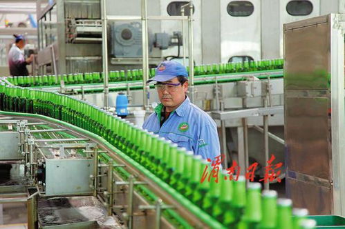 打造农产品加工产业新地标 渭南经开区倾力推进农业产业高质量发展