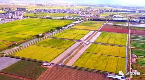 沾益 农业综合开发助力高原特色农业步入高效发展快车道