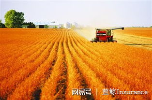 护航农业发展保险担重任,5类保险首秀中央一号文件