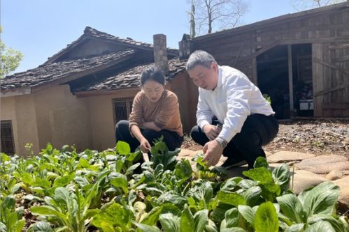 福建省农科院携手乡愁沈丹共建绿色优质农产品联合开发中心 科技赋能助力绿色产业发展