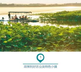 行业浅析︱农业特色小镇的内涵