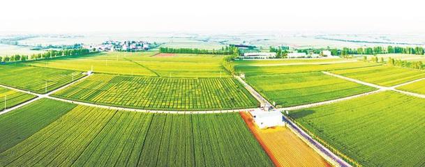 凤鸣襄州 迈向农业新高地