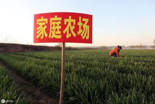 自治区农业农村厅关于印发2019年中央农业生产发展资金 家庭农场 项目实施方案的通知