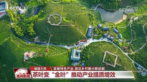 发展特色产业 激活乡村振兴新动能