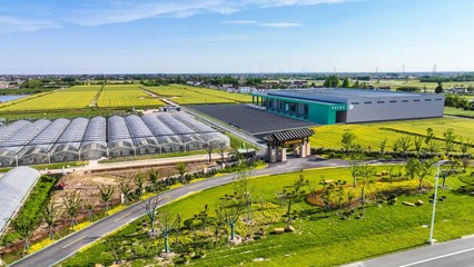 盐城市农业农村局 丰盈四仓——江苏省乡村振兴示范村的农业开发实践