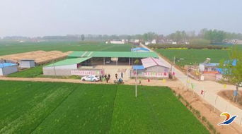 发展新型农业，带动村民致富——农业开发的新路径