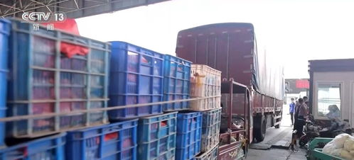 一季度农业农村经济实现开门稳开门红，发展势头持续向好