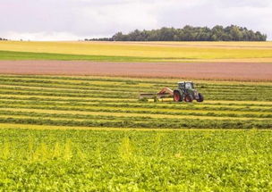 农业部发文推进农业开发，五大领域将获政策红利