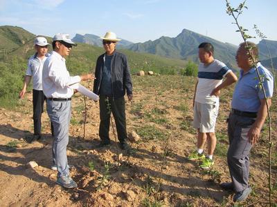 河北井陉开展农业专项资金审计，助力农业开发提质增效