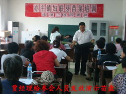 从阳台到餐桌 有机芽苗菜的家庭种植与养生之道