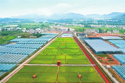 江西赣州 深耕富硒沃土，绘就现代农业新图景