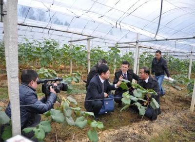 金融活水润沃野 产品创新激活扶贫产业新动能