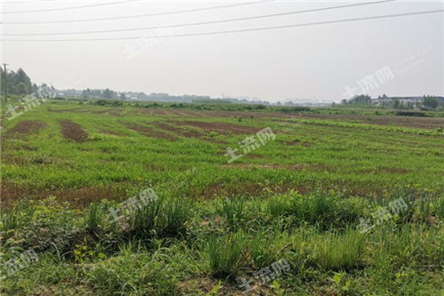 土流网赋能农业综合开发 构建现代高效农业新格局