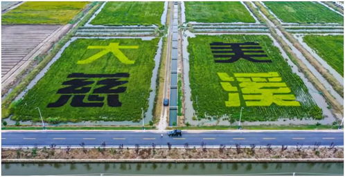 盐碱地崛起未来之城 现代农业开发区开启产城融合新阶段