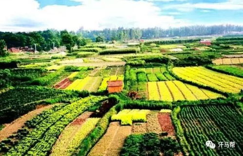 国家级田园综合体的十大开发模式 农旅结合与农业开发新路径