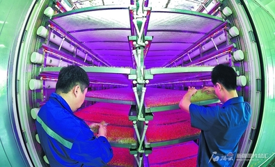 植物工厂 智慧农业